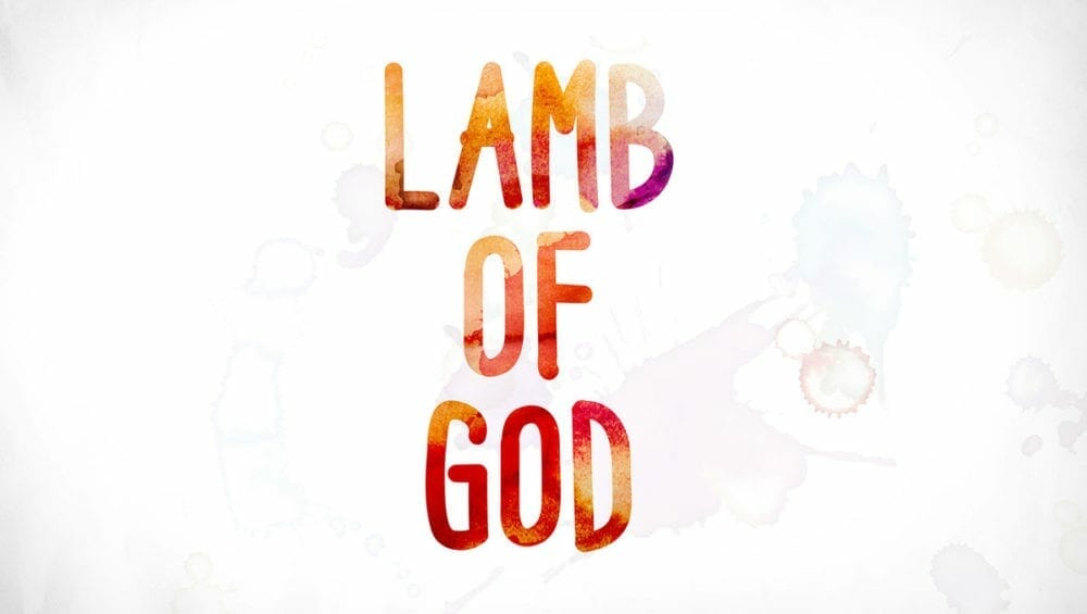 Lamb of God Image